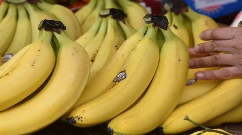 U trgovačkom centru pronađeno 18 kilograma kokaina skrivenog među kutijama banana