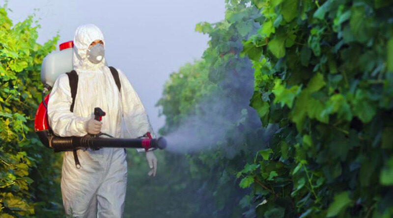 Opasni pesticidi svuda su oko nas, u hrani, vodi, kućnoj prašini...