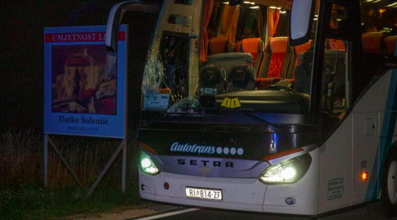 Autobus pun putnika naletio na krdo konja, jedan konj nastradao