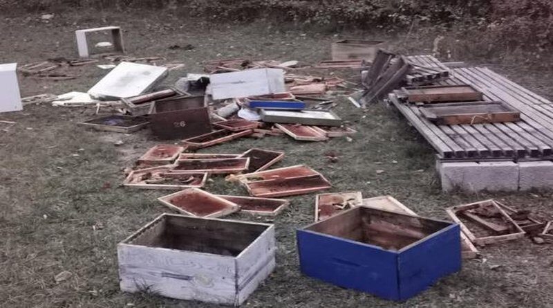 Medvjedi nanose velike štete tomislavgradskim pčelarima