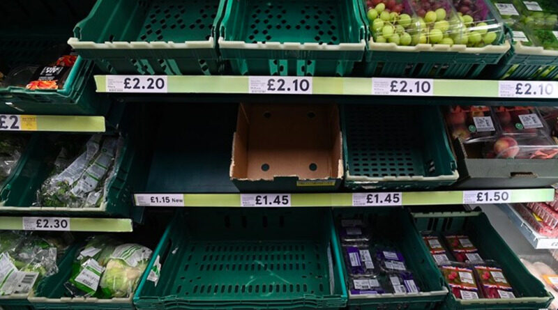 Britanski supermarketi na police stavljaju povrće od kartona