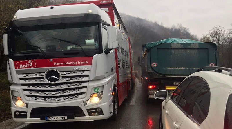 Na bh. cesti ispale tri krave iz kamiona