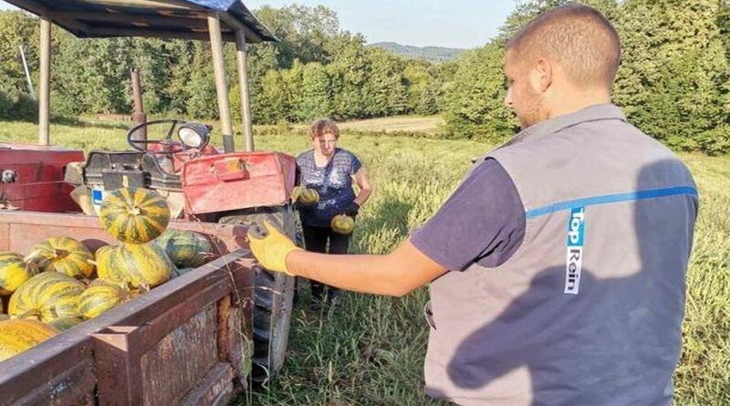 Goran pravi ljekovito bučino ulje, za litru - 3,5 kg sjemenki