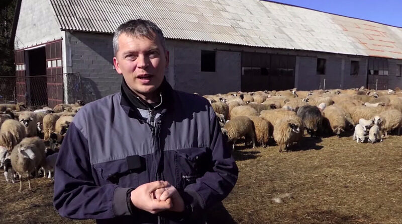 KUPRES: Napravio najbolju farmu ovaca u BiH, planira nešto neviđeno