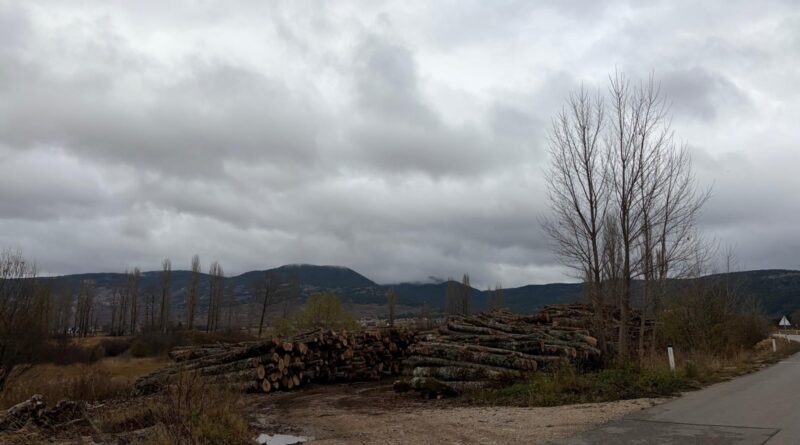 Za svaku pohvalu - Šumarija osigurala pravodobu isporuku ogrjeva