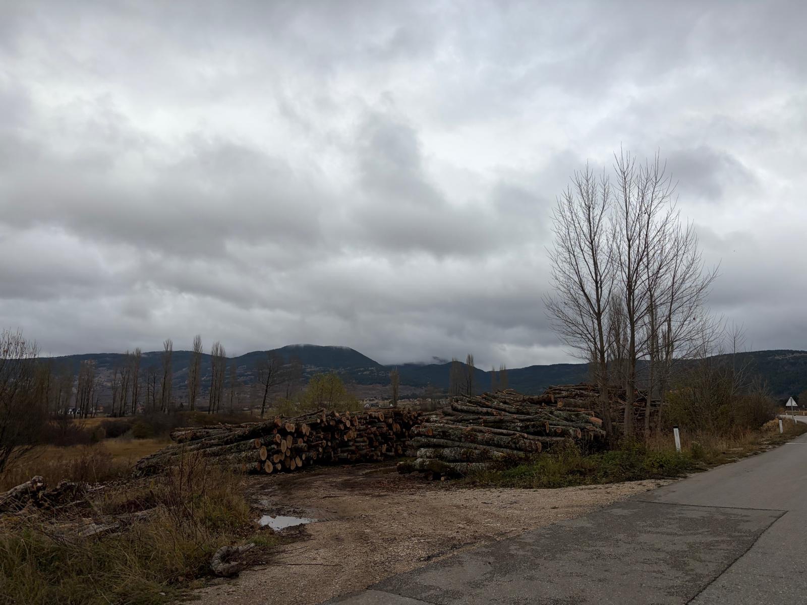 Za svaku pohvalu - Šumarija osigurala pravodobu isporuku ogrjeva