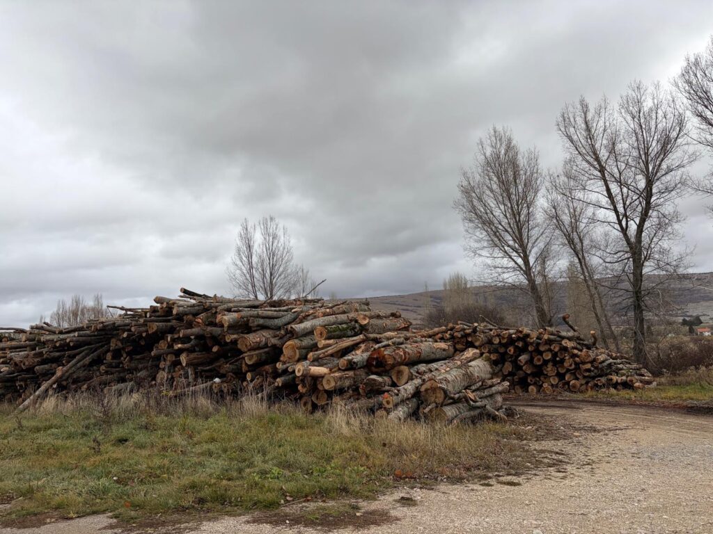 Za svaku pohvalu - Šumarija osigurala pravodobu isporuku ogrjeva