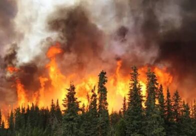 Civilna zaštita Općine Kupres: Zabranjeno paljenje vatre