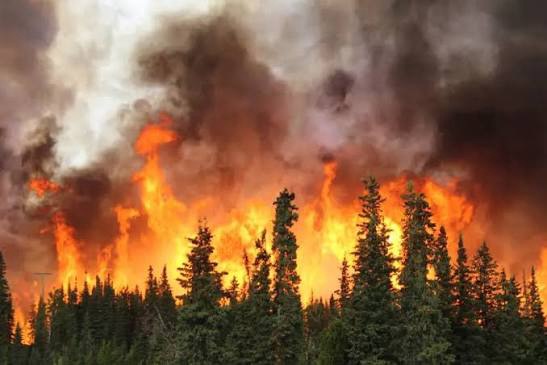 Civilna zaštita Općine Kupres: Zabranjeno paljenje vatre